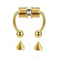 Magnetic Nipple Rings Set, w/2 interchangeable ends, GOLD